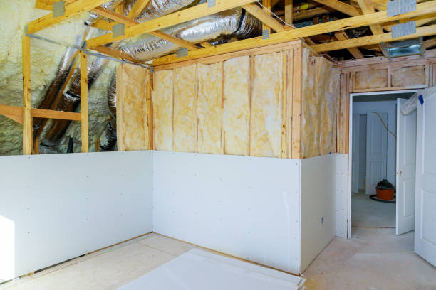 Best Geographic-Specific Insulation Services in Telluride, CO